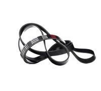 STARK SK-6PK2460 Cinghia servizi per VW Touareg (7LA, 7L6, 7L7) 2460mm