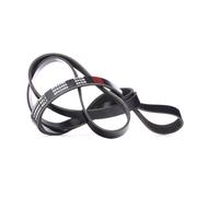 STARK SK-6PK2460 Cinghia servizi per VW Touareg (CR7) per AUDI A5 Coupe (8T3)