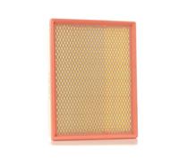 RIDEX 8A0079 Filtro aria adatto per MERCEDES-BENZ M-Klasse (W163) CLK (C208)