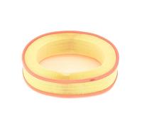 STARK SKAF-0060374 Filtro aria adatto per MERCEDES-BENZ G-Klasse SUV (W463)