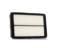 STARK SKAF-0060647 Filtro aria motore Filtro aria ricircolo