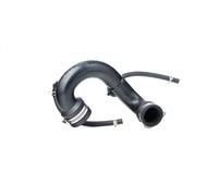 STARK SKCHI-2030112 Flessibile aria alimentazione per RENAULT KANGOO (KC0/1)