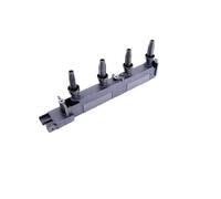 STARK SKCO-0070036 Bobina d'accensione per FIAT Scudo Kastenwagen (220)