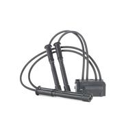 STARK SKCO-0070042 Bobina d'accensione per RENAULT CLIO II (BB0/1/2, CB0/1/2)