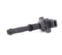 STARK SKCO-0070159 Bobina d'accensione 12V per PORSCHE Cayenne (92A) 911 (996)