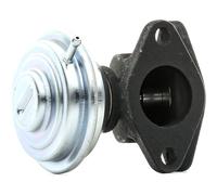 STARK SKEGR-0770255 Valvola EGR con guarnizione per VOLVO V70 II (285)