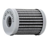 STARK SKFF-0870300 Filtro carburante Filtro combustibile per FORD C-MAX (DM2)