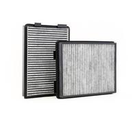 STARK SKIF-0170014 Filtro abitacolo per VW POLO (9N) Eos (1F7, 1F8) Filtro