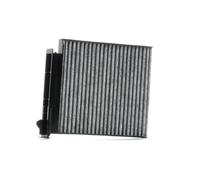 STARK SKIF-0170029 Filtro abitacolo per RENAULT CLIO II (BB0/1/2, CB0/1/2)