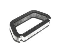 STARK SKIF-0170210 Filtro abitacolo per AUDI A8 (4E2, 4E8) Filtro al carbone