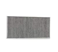 STARK SKIF-0170252 - Filtro dell'aria per interni