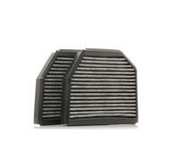 STARK SKIF-0170418 Filtro abitacolo adatto per MERCEDES-BENZ G-Klasse SUV (W463)