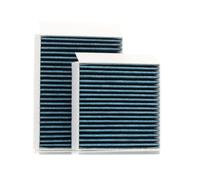 STARK SKIF-0170502 Filtro abitacolo adatto per PEUGEOT 207 (WA, WC) 207 SW (WK)
