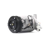 STARK SKKM-0340017 Compressore aria condizionata CSV613 PAG 46 per BMW X3 (E83)