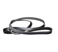 STARK SKPB-0090006 Cinghia servizi per VW LT 28-46 II Van (2DA, 2DD, 2DH) 1715mm