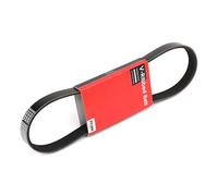 STARK SKPB-0090008 Cinghia servizi per FORD FUSION (JU) MONDEO IV (BA7) 690mm