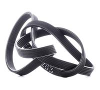 STARK SKPB-0090134 Cinghia servizi per BMW 3 Sedan (E90) 1698mm