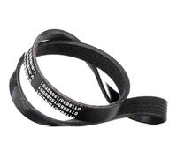 STARK SKPB-0090255 Cinghia servizi adatto per PEUGEOT 207 (WA, WC) 307 (3A/C)
