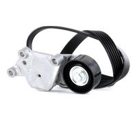 STARK SKRBS-1200113 Kit Cinghie Poly-V per FORD Fiesta Mk6 Hatchback (JA8, JR8)