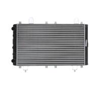 STARK SKRD-0120180 Radiatore motore per FIAT DUCATO Pritsche/Fahrgestell (290)