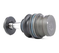STARK SKSL-0260254 Testina braccio oscillante per AUDI Q5 (8RB) A5 Coupe (8T3)