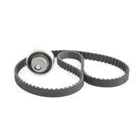 STARK SKTBK-0760057 Kit cinghia di distribuzione adatto per PEUGEOT 206 Van