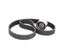 Ina 530032210 Kit Tendicinghia