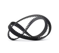 STARK SKTIB-0780032 Cinghia dentata per OPEL Corsa D Schrägheck (S07) ASTRA J