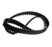 STARK SKTIB-0780084 Cinghia dentata per HYUNDAI i30 (FD) per KIA RIO II (JB)