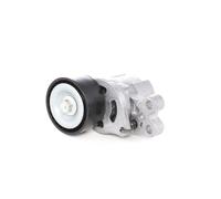 STARK SKTP-0600068 Rullo tenditore cinghia Poly-V 60,00mm per FIAT QUBO (225)
