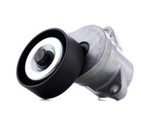 STARK SKTP-0600119 Rullo tenditore cinghia Poly-V per OPEL ASTRA J INSIGNIA