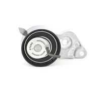STARK SKTPT-0650049 Rullo tenditore cinghia dentata per FORD C-MAX (DM2)