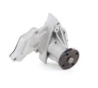 STARK SKWP-0520014 Pompa acqua per FORD Fiesta Mk6 Hatchback (JA8, JR8)