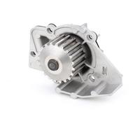 STARK SKWP-0520023 Pompa acqua per FIAT DUCATO Pianale piatto/Telaio (244)