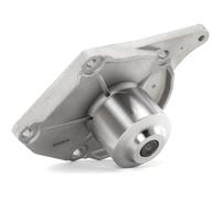 STARK SKWP-0520199 Pompa acqua per RENAULT Clio III Hatchback (BR0/1, CR0/1)