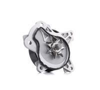 STARK SKWP-0520266 Pompa acqua per TOYOTA Yaris Schrägheck (P9) Verso (R2)