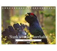 Stark wie der Auerhahn (Tischkalender 2026 DIN A5 quer), CALVENDO Monatskalender: Entdecken Sie die Faszination des Auerhahns - ein Symbol unberührter Natur, majestätischer Präsenz und wilder Eleganz.