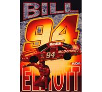Starline Poster ~ Bill Elliott Nascar 1995 Mcdonald Vintage Originale 22x34 Raro