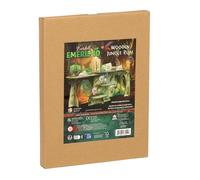 Starling Games Everdell Emerland: Wooden Ruins Board Game Expansion