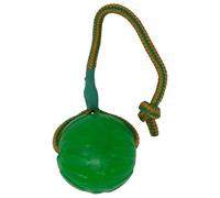 StarMark Swing e Fling Chew Sfera per i Cani