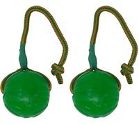 StarMark Swing e Fling Chew Sfera per i Cani