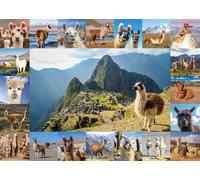 Starnberger Spiele - Llama puzzle - 1000 pieces - for children and adults - gift