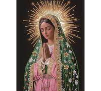 Starnearby DIY Diamond Painting Madonne Trapano Parziale Strass, Diamond Painting Vergine Maria Forma Speciale, Pittura Diamante Speciale 5D Fai da te Kit Pittura a Mosaico 30x40cm