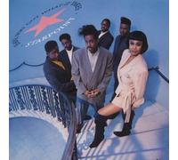 Starpoint - Have You Got What It Takes [Vinyl]