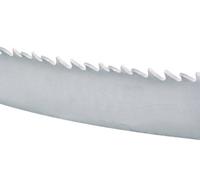 Starrett Intenss pro-die lama per sega a nastro, bimetallico, Intenss Tooth, rastrello set, positive rastrello, lunghezza 398,8 cm, 1/5,1 cm larghezza, 0,1 cm di spessore, 6 - 10 TPI