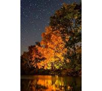 Starry Night at the Lake Gratitude Journal: 6 x 9 hardcover 100 lined pages in notebook for daily reflection