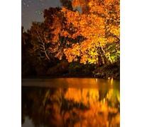 Starry Night at the Lake Gratitude Journal: 8.5 x 11 100 lined pages in notebook for daily reflection