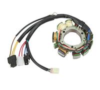 Starrypxl Snowmobile Ignition Stator Copper 3005-080 Arctic Cat Powder 500 580 600 High Performance Durable Replacement for Winter Adventure