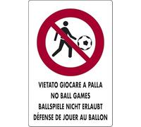 START Cartello Vietato giocare a palla luoghi pubblici 30CMx20CM Cartello Vietato giocare a palla luoghi pubblici 30CMx20CM
