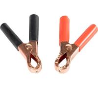 Start Coppia Di Pinze Per Cavi Alimentazione Batteria 40ah Universali B_0002_070